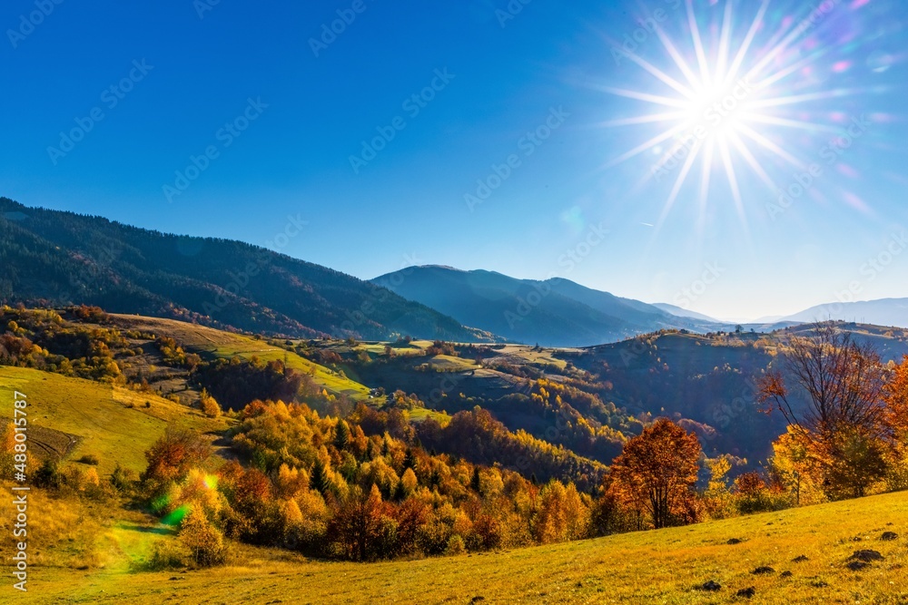 Grassy slopes with lush trees against mountains at sunset