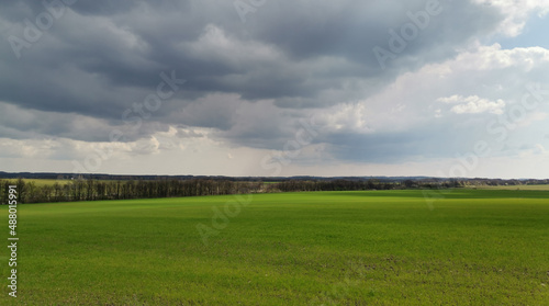 spring green fields