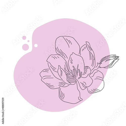 Abstract background with flower. Peony. Background, poster, banner. Vector illustration.