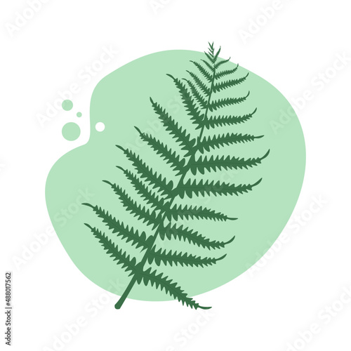 Abstract background with flower. Plant. Fern. Background, poster, banner. Vector illustration.