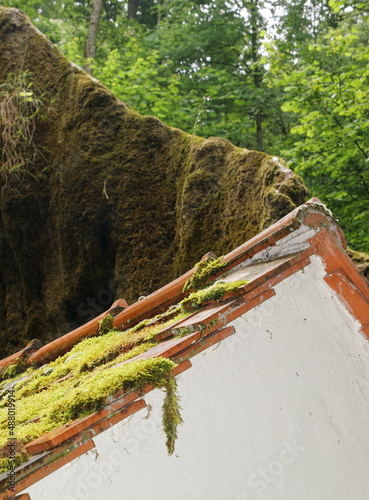 Wachsender Felsen Usterling (Landau) photo