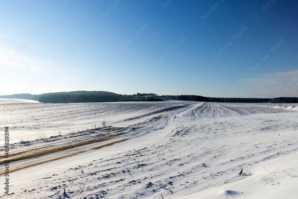 winter season with snowdrifts after snowfall winter season with snowdrifts after snowfall