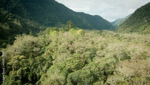 Valle boscoso rodeado de montañas.