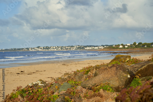 Plants on the french beach. Brown sand and blue sea water in front of Breton small town. France  Brittany  Mesperleuc.