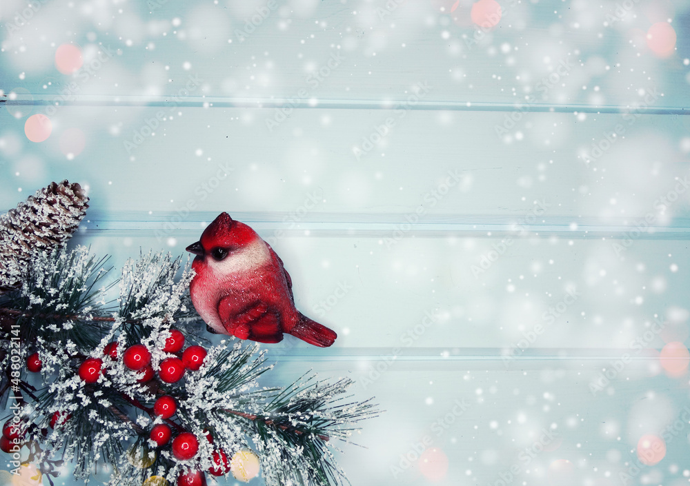 winter background with fir branches cones and snow