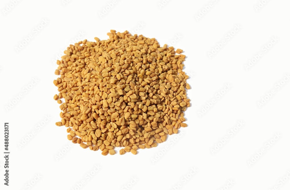 Closeup of Fenugreek or Methi Seeds Isolated on White Background With Copy Space Closeup of Fenugreek or Methi Seeds Isolated on White Background With Copy Space