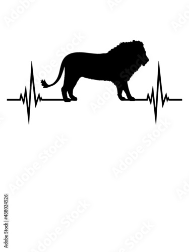 Puls Männlicher Löwe 