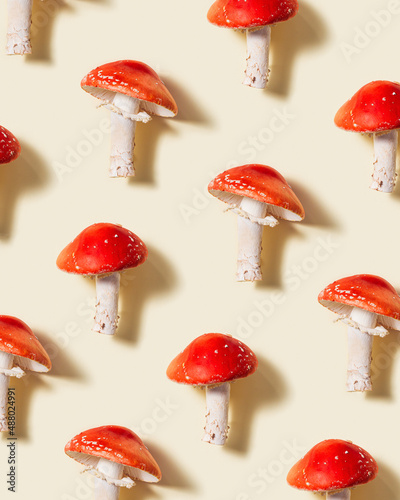 Photography Pattern with mushroom Amanita muscaria, fly agaric or fly amanita