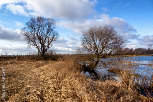 Fototapeta Naklejka Na Ścianę i Meble -  Przedwiosenne rozlewiska Narwi i Biebrzy, Podlasie, Polska