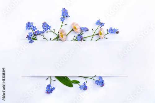 Bouquet with white pink english daisy and blue flowers forget-me-not and white paper card with space for text on light background. Top view, flat lay