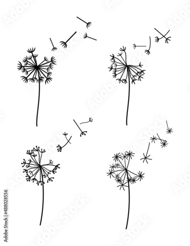 vector illustration of dandelion seeds blown in the wind
