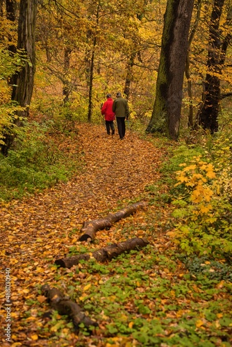 Spaziergänger im Herbstwald