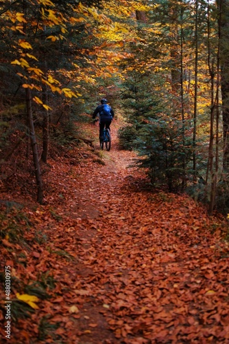 Mountainbikefahrer unterwegs im Wald