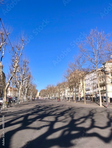 empty tree-lined street in winter in Beziers photo