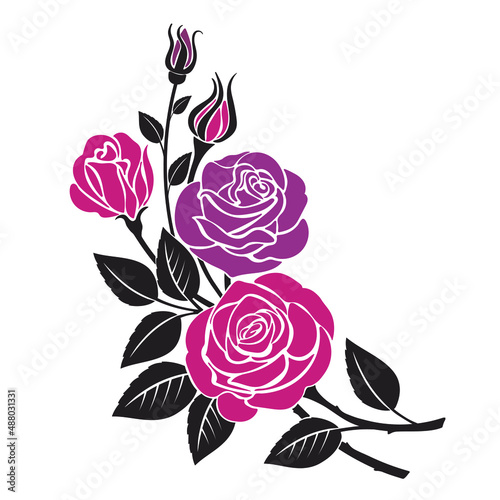 Vector illustration of rose flowers isolated on white background. Floral decoration for design