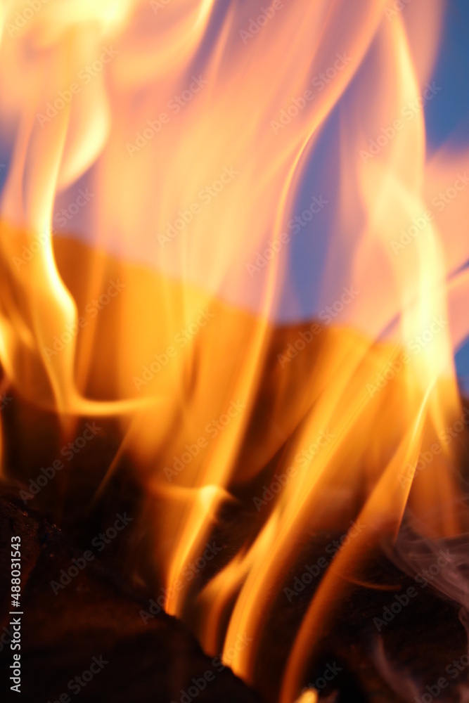 Naklejka premium fire in the fireplace