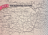 Isolated rough overlay grunge texture with craquelure effect. Abstract background to imitate crack, fissure, fracture, rift, break, split. Vector backdrop.