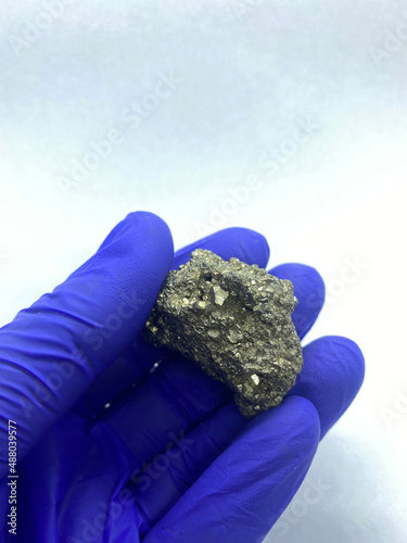 Obraz na plátně Foolish gold nugget kept on gloved hand closeup view isolated on white backgroun