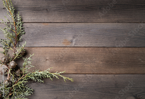 Old wooden brown background with a fir branch. Top view and copy space