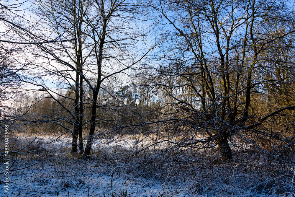 Landscape in the frost of the morning Landscape in the frost of the morning