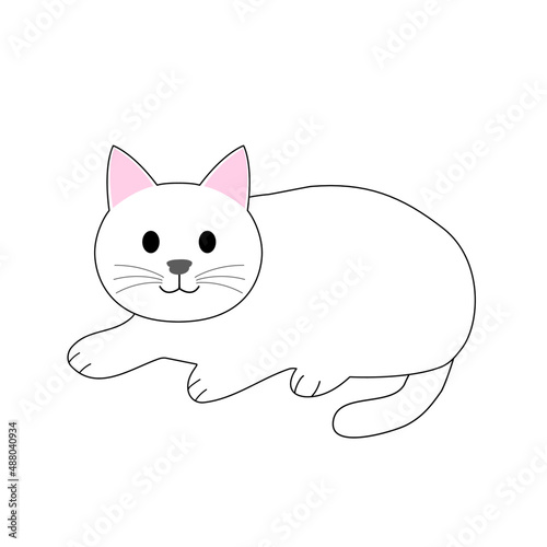A white cat with a copy space 