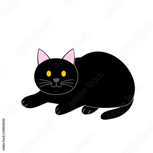 A black cat with a copy space 