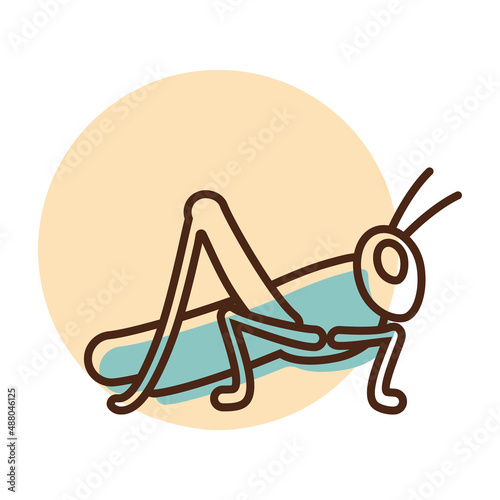 Grasshopper locust vector isolated icon © nasik