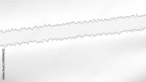 Torn edges of paper, vector illustration on a transparent background