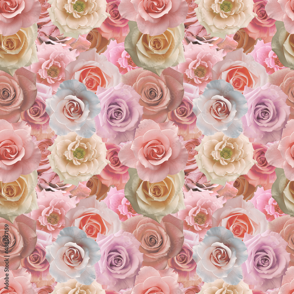 Fototapeta pattern of roses, wallpaper of roses