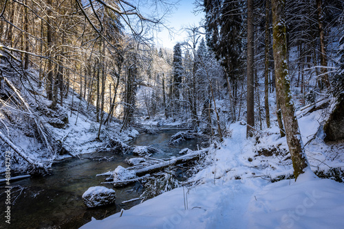 Forest and Riverside in Winter © Reinhard