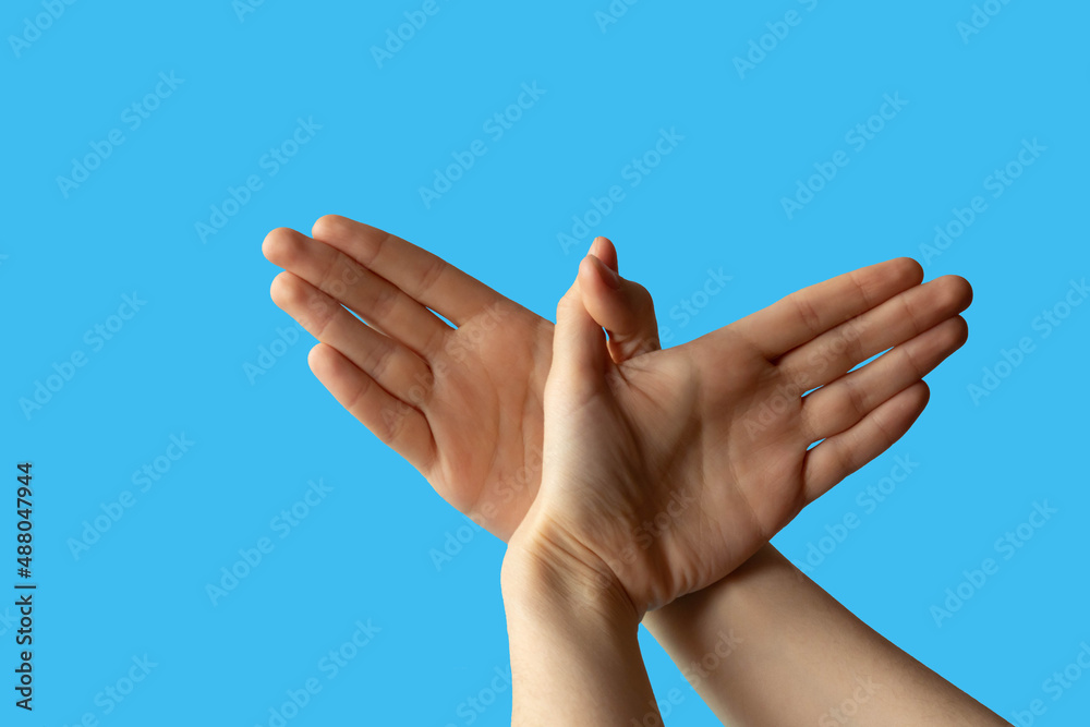 Silhouette of a hand gesture similar to a bird flying on a blue background Silhouette of a hand gesture similar to a bird flying on a blue background