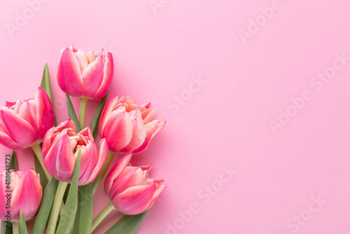 Pink tulip flower on pastel table background with copy space for text. International Women day, Mother day and Happy Valentine day concept.
