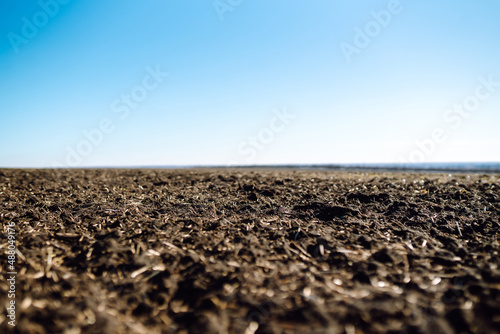Fotografia Empty and plowed fields, preparation for next harvest