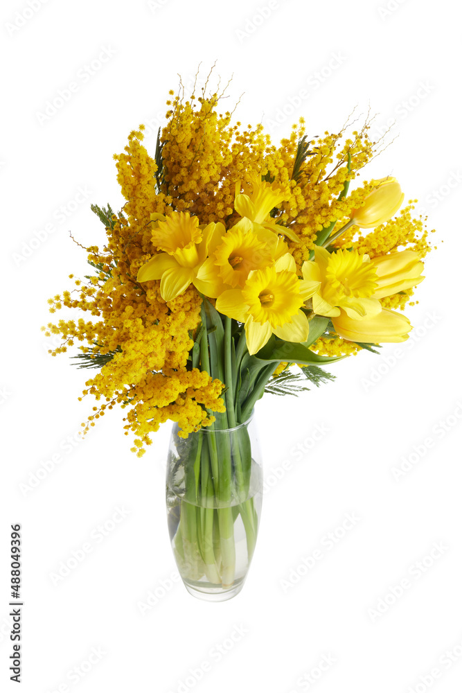 Mimosa, daffodil and tulip flowers bouquet on white background. Easter, Mothers Day, Women's day concept