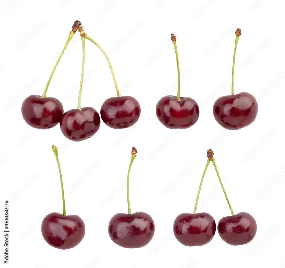 sour cherry path isolated on white sour cherry path isolated on white