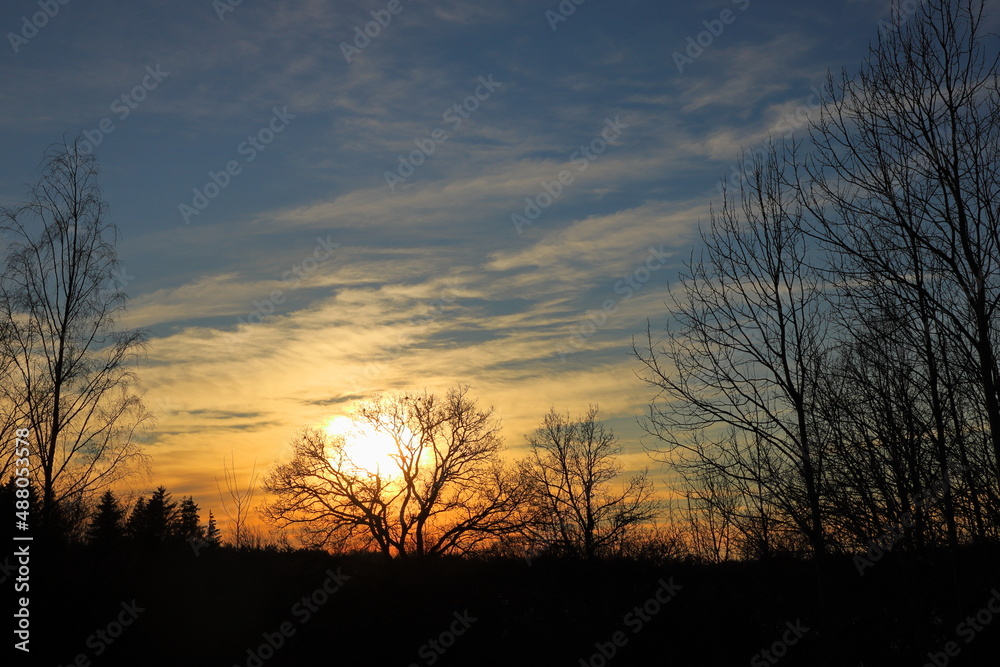 Fototapeta premium Another beautiful Swedish sunset. During the winter. Dark silhouettes of trees in front of the photo. Very vivid horizon. Stockholm, Sweden.