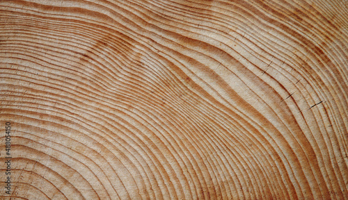 background texture of old wood surface