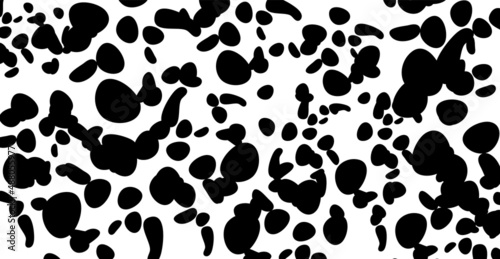 Dalmatian pattern Cow texture Animal skin template Spot background Vector design illustration Random bovine spots Farm animal textural banner Black chaotic spots isolated on white