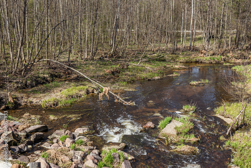 early spring  water  river bank  nature  spring landscape  waterfall