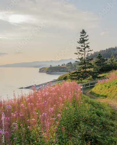 Coastal Trail in Forillon National Park in Quebec, Canada at Sunset photo