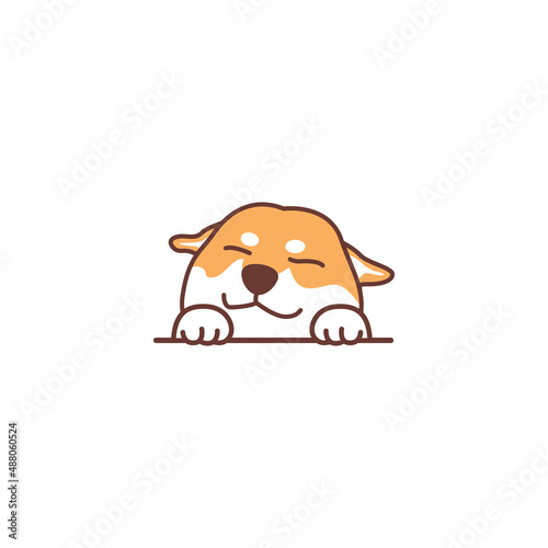 Cute shiba inu dog peeking cartoon, vector illustration