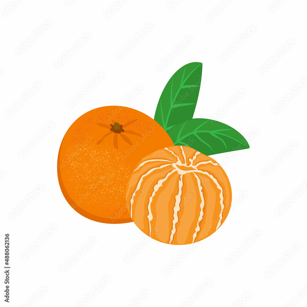 Whole and peeled tangerines or tangerines, isolated on white background. vector illustration