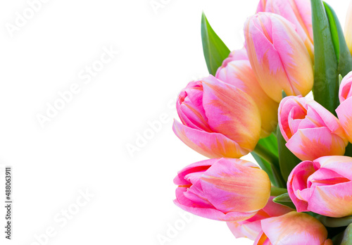 Fototapeta Naklejka Na Ścianę i Meble -  Spring flowers. Tulip bouquet on the bokeh background.