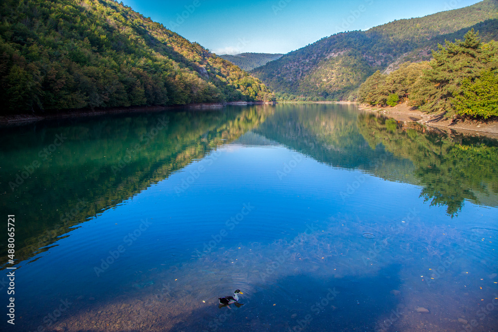 Single Duck on the Borabay crater lake in Amasya Single Duck on the Borabay crater lake in Amasya