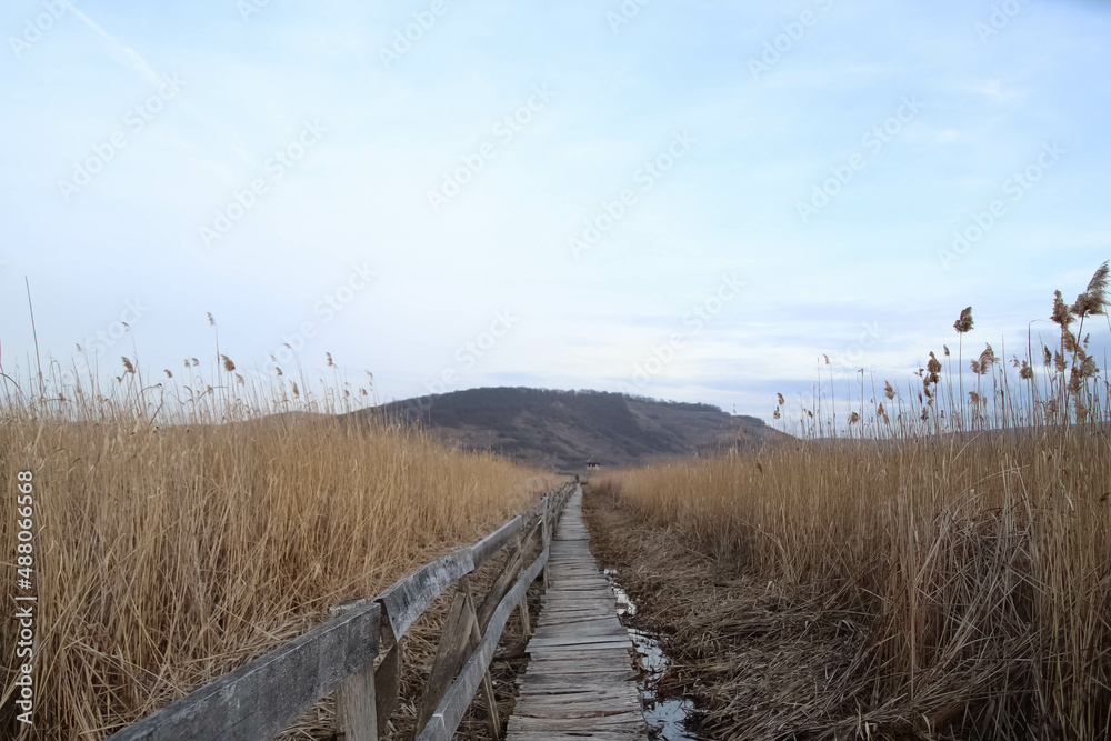 Old wooden boardwalk with a railing in the Sic reed reservation , Romania.