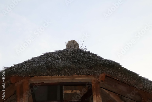 Close up of a traditional roof made from wheat with copy space.