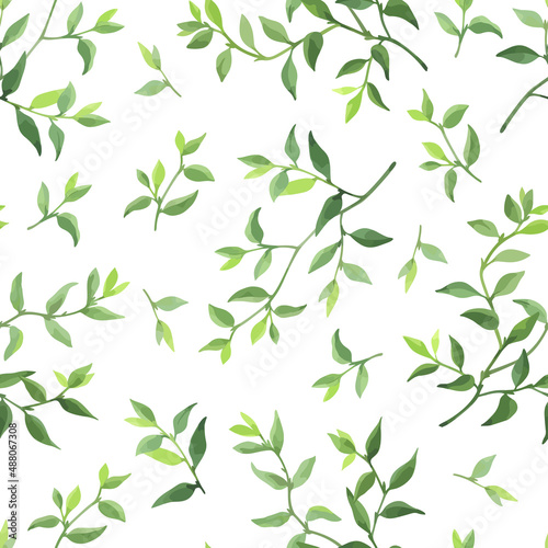 Seamless pattern with green leaves. Wild herbs on white background. Floral wallpaper. Vector illustration. 
