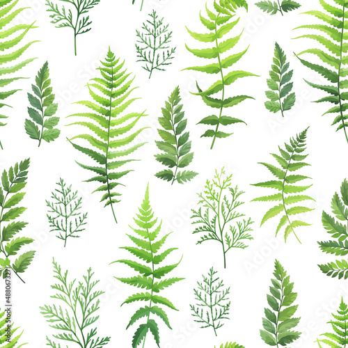 Seamless pattern with green leaves  foliage branches. Forest herbs on white background. Floral wallpaper. Vector illustration.