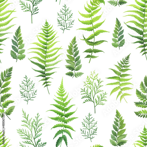 Seamless pattern with green leaves, foliage branches. Forest herbs on white background. Floral wallpaper. Vector illustration.