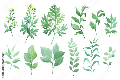 Green leaves set isolated on white background. Sagebrush and other wild herbs. Vector illustration.